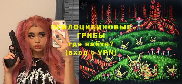 прущая мука Дмитров
