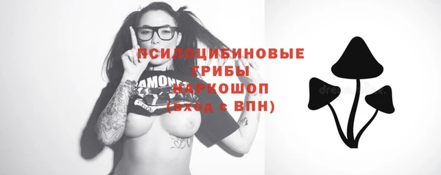 сатива Абаза