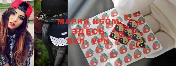сатива Абаза