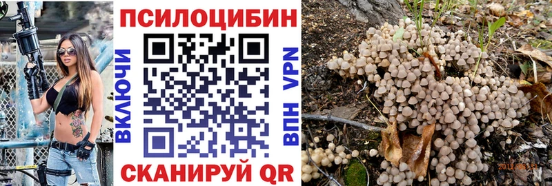 Псилоцибиновые грибы Psilocybine cubensis  купить наркотик  Устюжна 